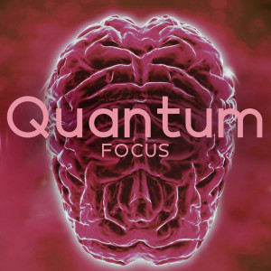 Album Quantum Focus (Work Brown Noise) from Ambient Noise Meditation Zone