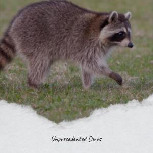 收听Jaen Zeth的Unprecedented Dmos歌词歌曲