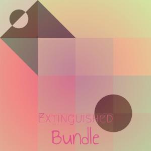 Various Artists的專輯Extinguished Bundle