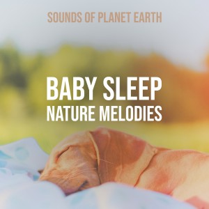 ดาวน์โหลดและฟังเพลง Forest Trip Rainy Tent Melody พร้อมเนื้อเพลงจาก Sounds of Planet Earth