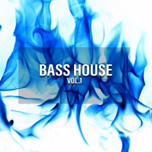 Album Bass House, Vol. 1 (Explicit) from MelloJ