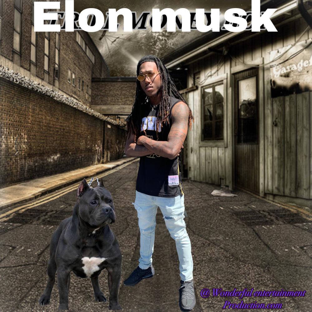 Elon Musk (Explicit)