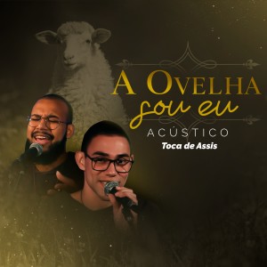收聽Toca de Assis irmãos的A Ovelha Sou Eu (Acústico)歌詞歌曲