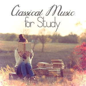 ดาวน์โหลดและฟังเพลง Brandenburg Concerto No. 2 in F Major, BWV 1047: II. Andante พร้อมเนื้อเพลงจาก Vienna State Opera Orchestra [Orchestra]