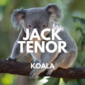 Album Koala oleh Jack Tenor