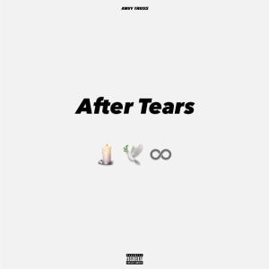 收聽Anvy Truss的After Tears (feat. Khanyisile Qha & UncleSteezy) (Explicit)歌詞歌曲