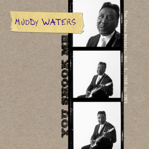 收聽Muddy Waters的You Need Love (Stereo Version)歌詞歌曲