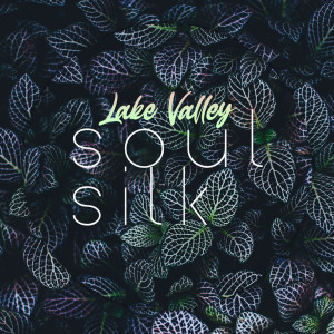 Album Soul Silk from Lake Valley