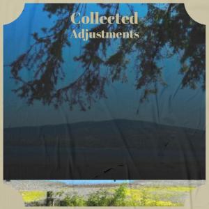 Album Collected Adjustments from 
