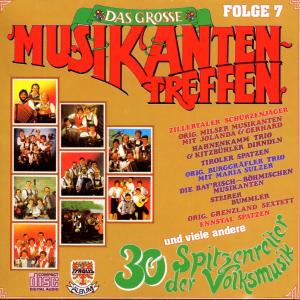 Listen to Wir kommen aus dem Ennstal song with lyrics from Ennstal Spatzen