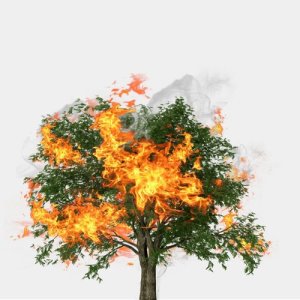 ดาวน์โหลดและฟังเพลง Element (Explicit) พร้อมเนื้อเพลงจาก Zak Downtown