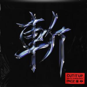 Album CUT IT UP (feat. CL & Afrojack) oleh PKCZ