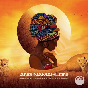 Album Anginamahloni oleh Dj Fresh (SA)