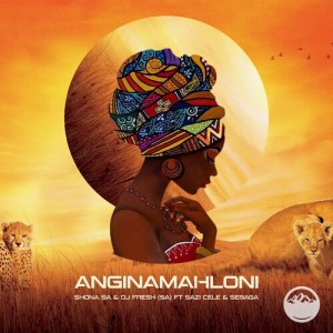 Album Anginamahloni from Shona SA