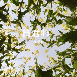 Listen to 待君归 song with lyrics from 江千屿