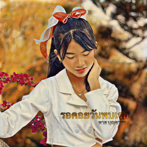 Listen to รอคอยวันพบเจอ song with lyrics from พาย คอนเฟลก