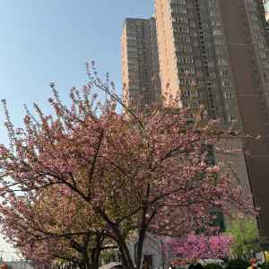 Listen to 南海归墟 song with lyrics from 毛儿