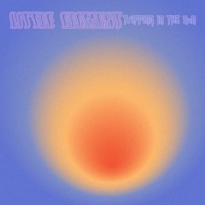 Album Tripping in the sun from Little Element