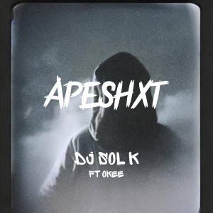 收聽DJ SOL K的Apeshxt歌詞歌曲