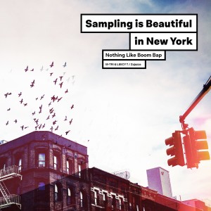 Listen to Nothing Like Boom Bap (In New York) song with lyrics from Sampling is Beautiful