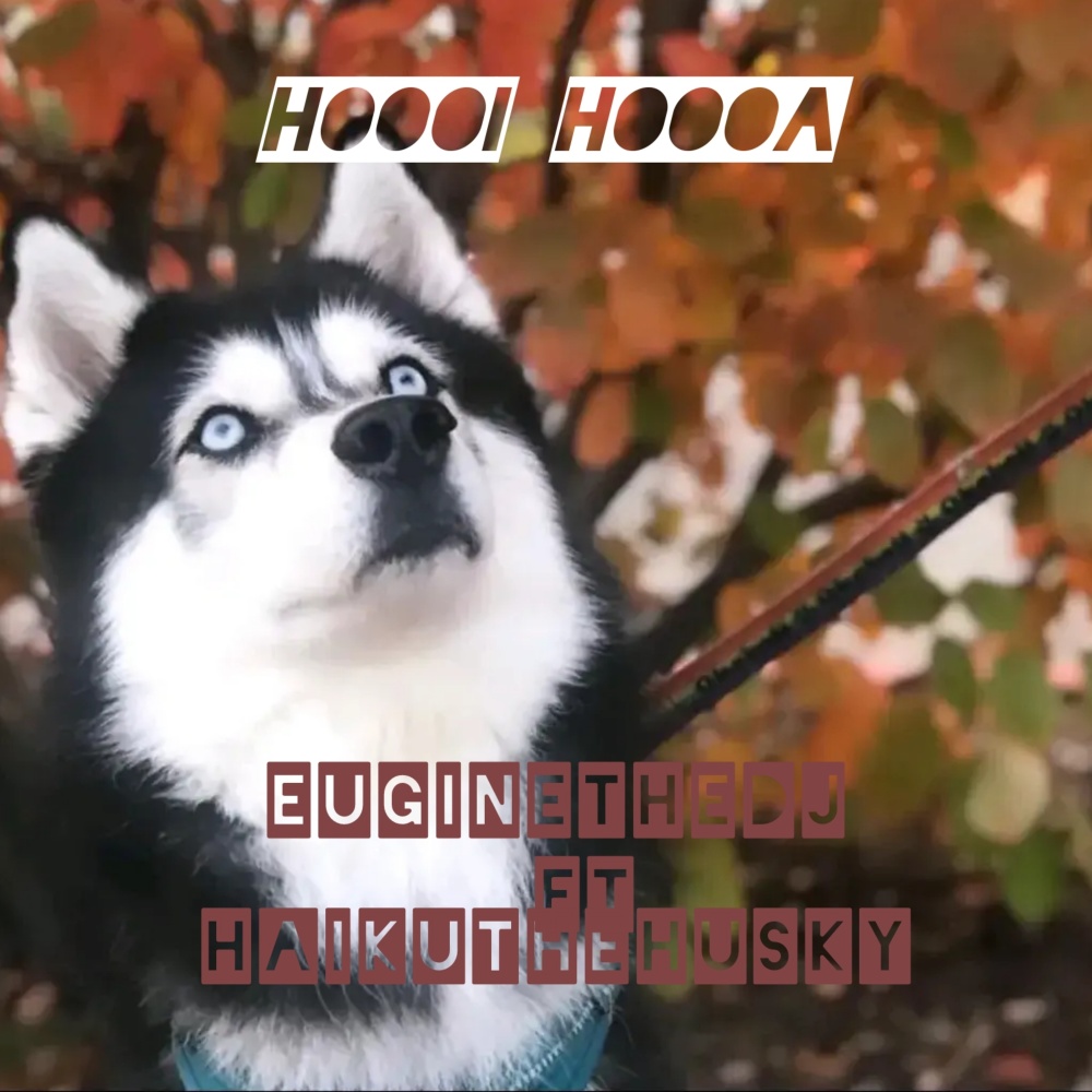 Hoooi Hoooa