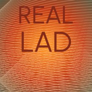 Listen to Mediocre Infatuation song with lyrics from Hoan Toar