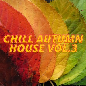 Album Chill Autumn House Vol.3 from Various