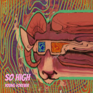 Listen to So High (Explicit) song with lyrics from Young Forever