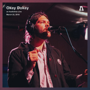 ดาวน์โหลดและฟังเพลง Wavy Gravy (Audiotree Live Version) พร้อมเนื้อเพลงจาก Okey Dokey
