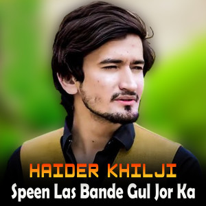 Album Speen Las Bande Gul Jor Ka from 