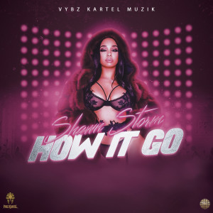 收聽Shawn Storm的How It Go歌詞歌曲