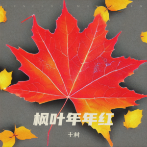 Listen to 枫叶年年红 (完整版) song with lyrics from 王君