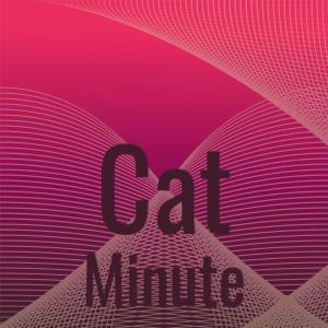 收聽Rimy Seye的Cat Minute歌詞歌曲