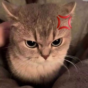 ดาวน์โหลดและฟังเพลง rental! (feat. pika & stylas) (Explicit) พร้อมเนื้อเพลงจาก valberry