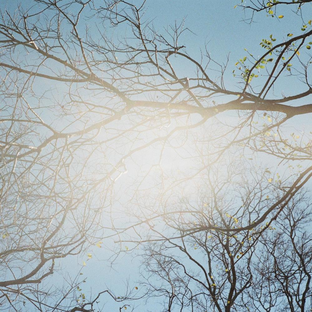 SUN SHINES