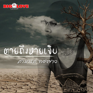 ดาวน์โหลดและฟังเพลง ตายถึงหายเจ็บ พร้อมเนื้อเพลงจาก สามารถ ทองขาว