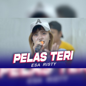 Dengarkan Pelas Teri lagu dari Esa Risty dengan lirik