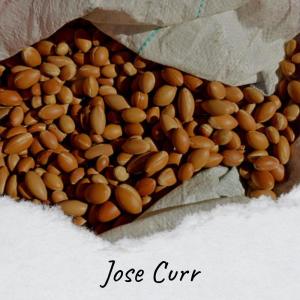 收聽Tobby Kars的Jose Curr歌詞歌曲