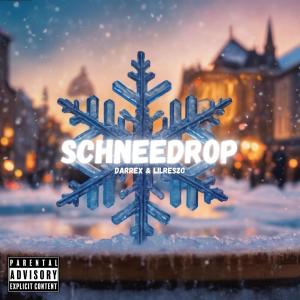 收聽Darrex22的Schneedrop (feat. LilReszo & Flo34)歌詞歌曲