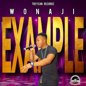 ดาวน์โหลดและฟังเพลง Example (feat. TreyCan Recordz) พร้อมเนื้อเพลงจาก Wonaji