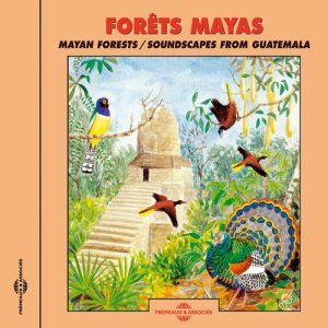 ดาวน์โหลดและฟังเพลง Motmot Houtouc พร้อมเนื้อเพลงจาก Blue-Crowned Motmot