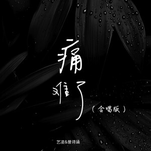 Album 痛难了（合唱版） from 小小杨玉莹