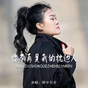 雨中百合的专辑你不再是我的枕边人 (DJ版)