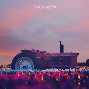 收听Arya的Summertime歌词歌曲