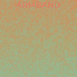 อัลบัม Armband Marriage ศิลปิน Various