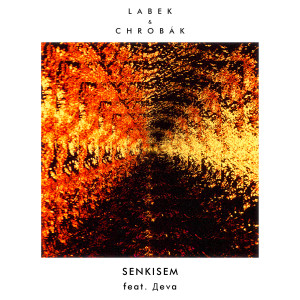 Album Senkisem from Labek