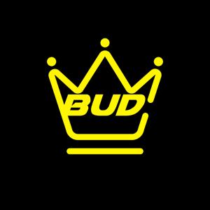 Album VIXOPOLO from Budi