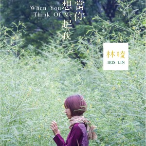 ดาวน์โหลดและฟังเพลง 當你想起我 พร้อมเนื้อเพลงจาก 林绫