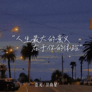 Album 人生最大的意义在于你的体验 from 壹元