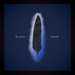 Album Black Crow from Louis Baker
